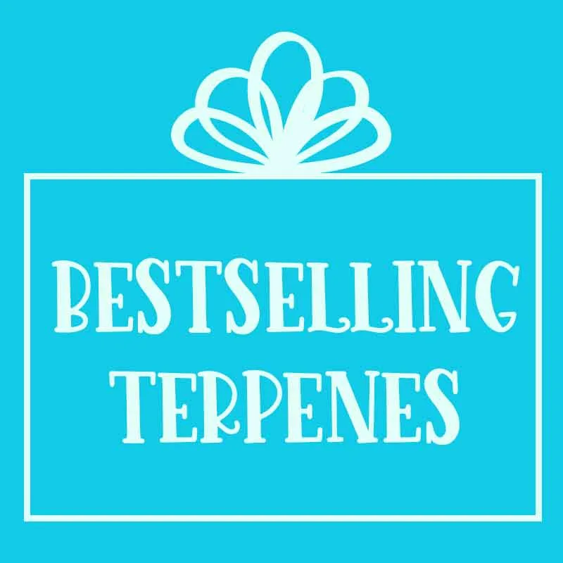 Bestselling Terpenes Gift Set - Save 40% Off