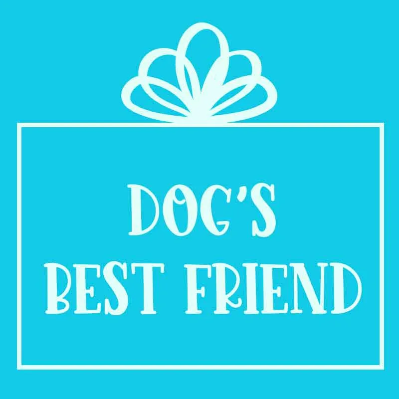 Dog's Best Friend Gift Set - Save 40% Off