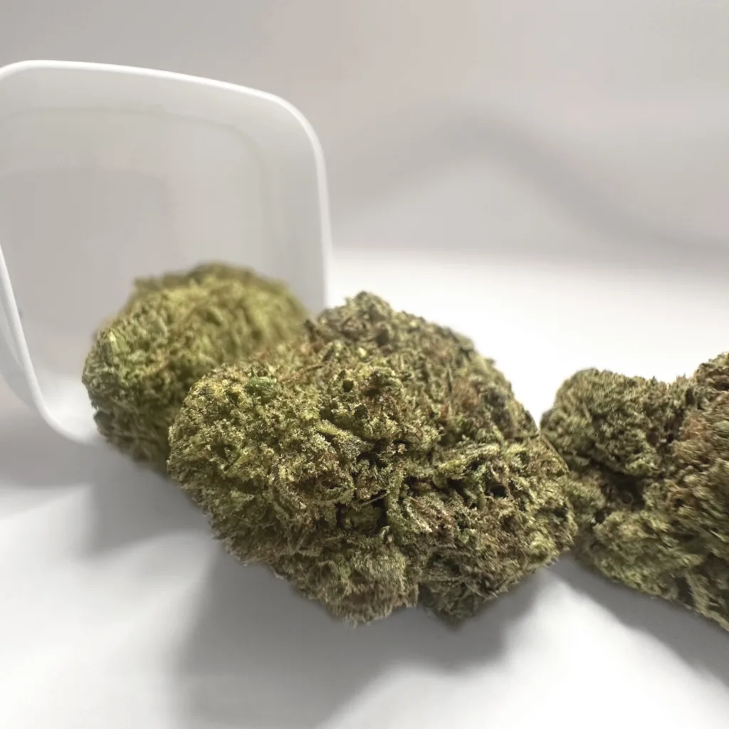 Gelato 41 THCA Flower