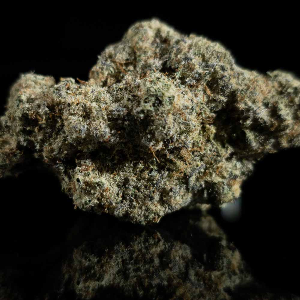 Black Ice THCA Flower