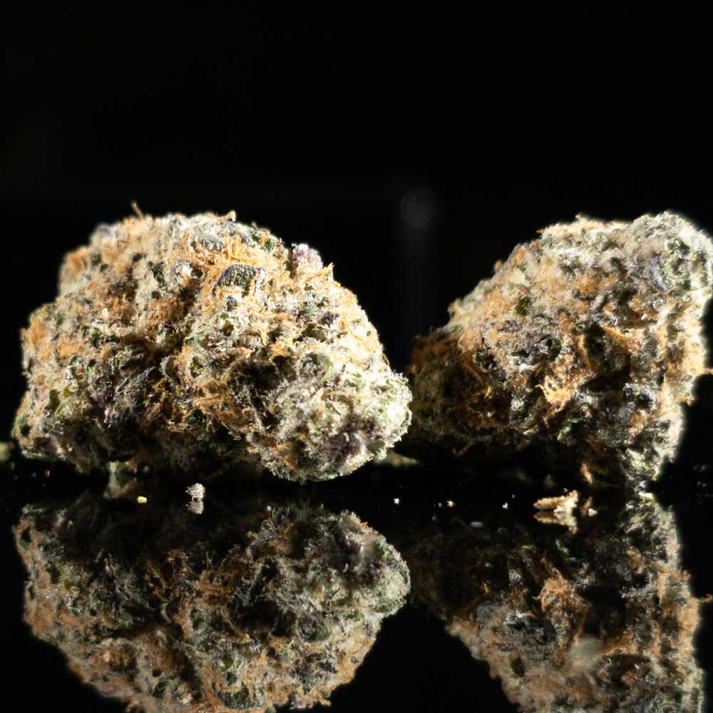 Goofiez THCA Flower